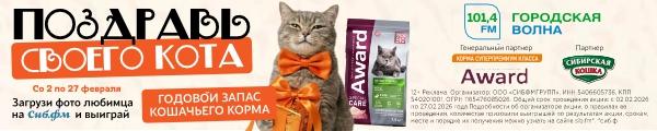 кот сибфм